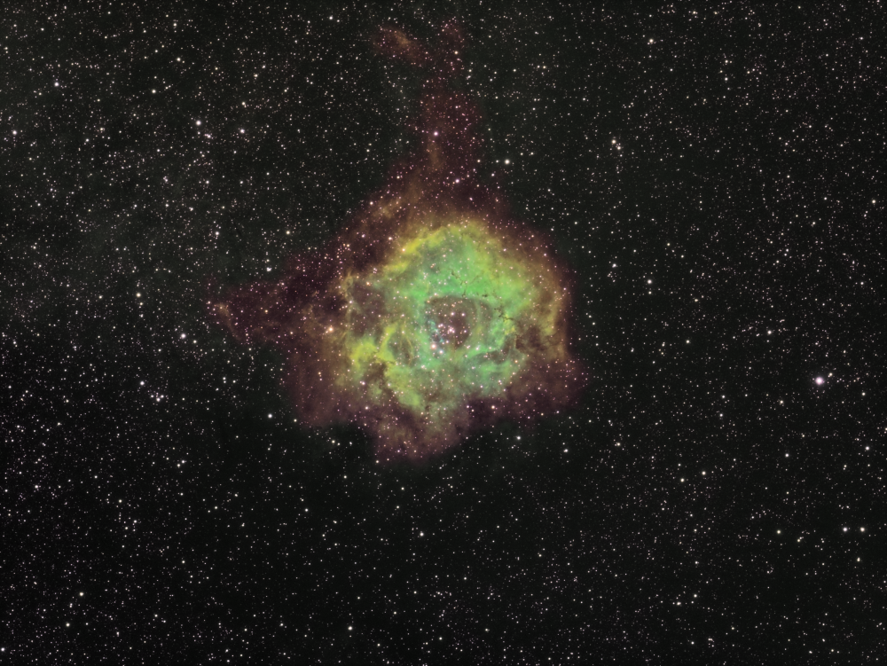 NGC2237/Sh2-275 (Emission Neb.) Rozetta SHO