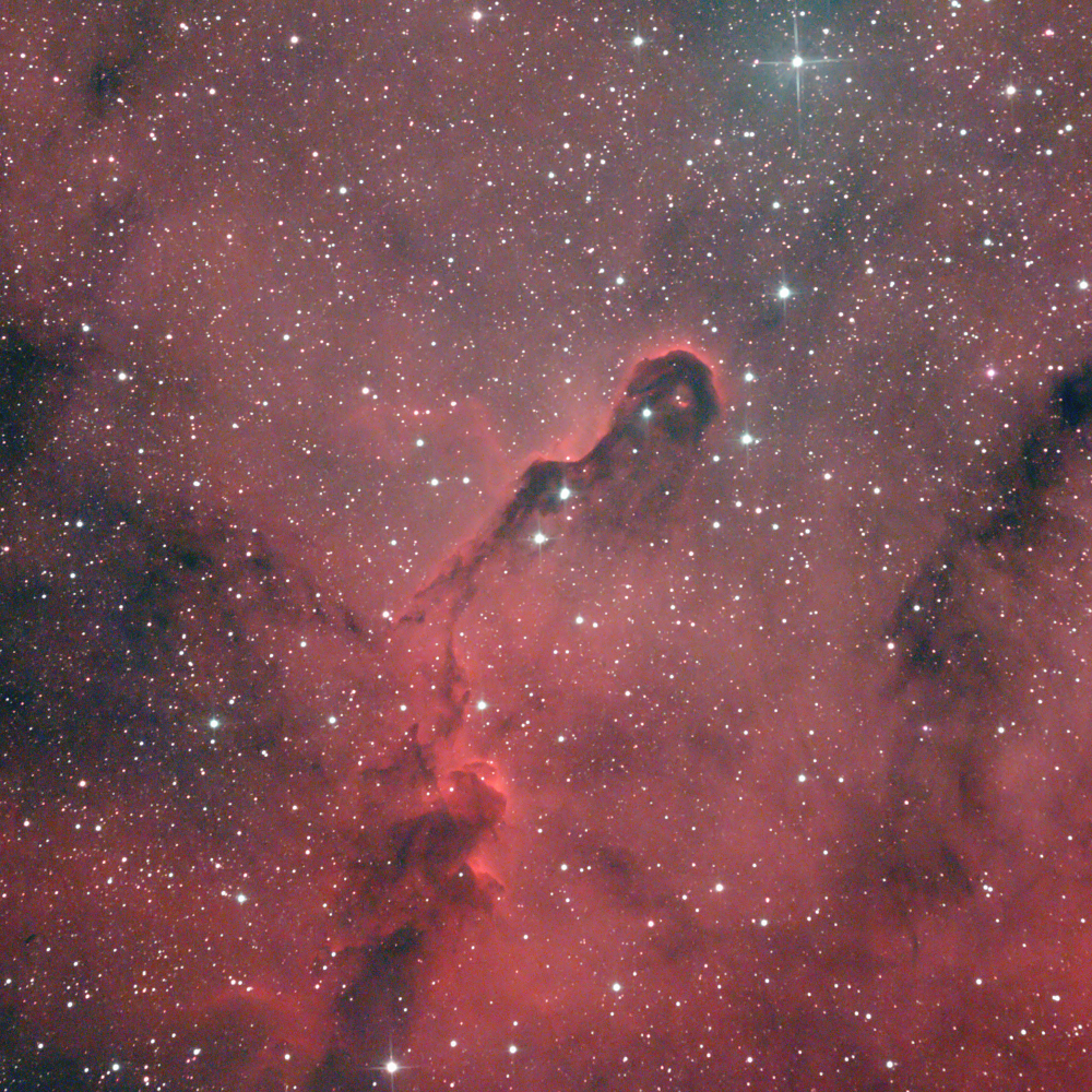 IC 1396 (Хобот слона)