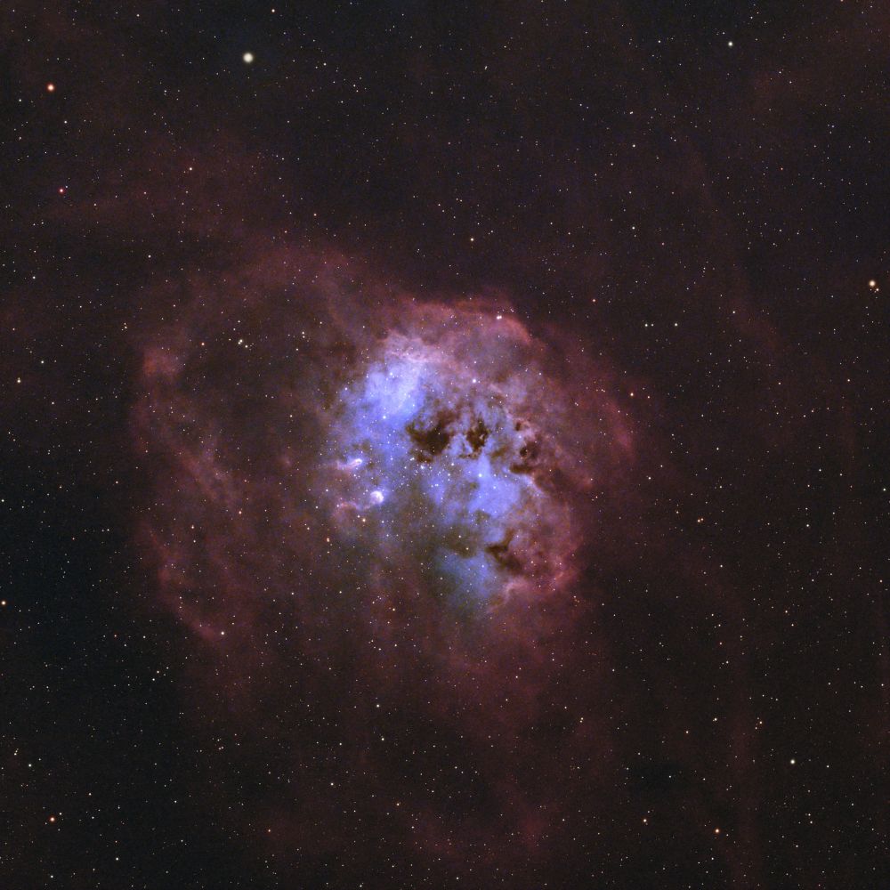 IC 410