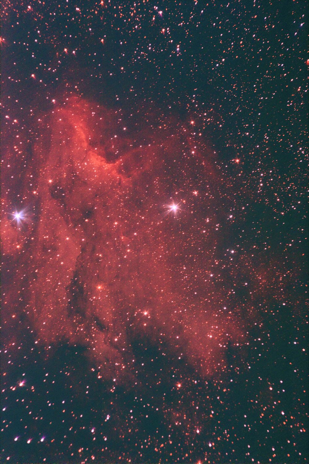IC5070 . Туманность Пеликан  