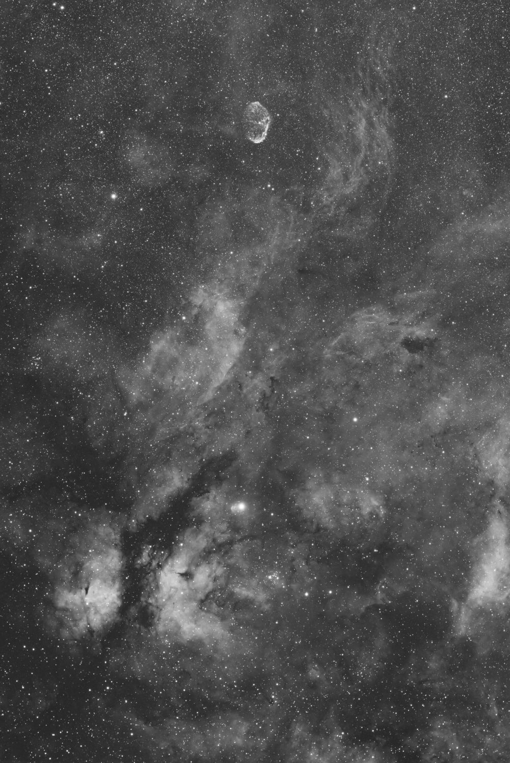 Облака ионизированного водорода в созвездии Лебедя. 