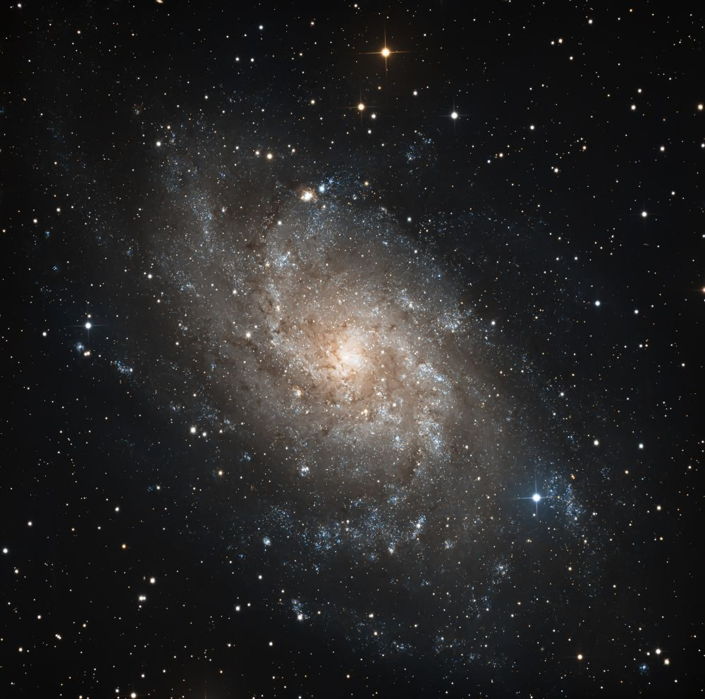 M 33