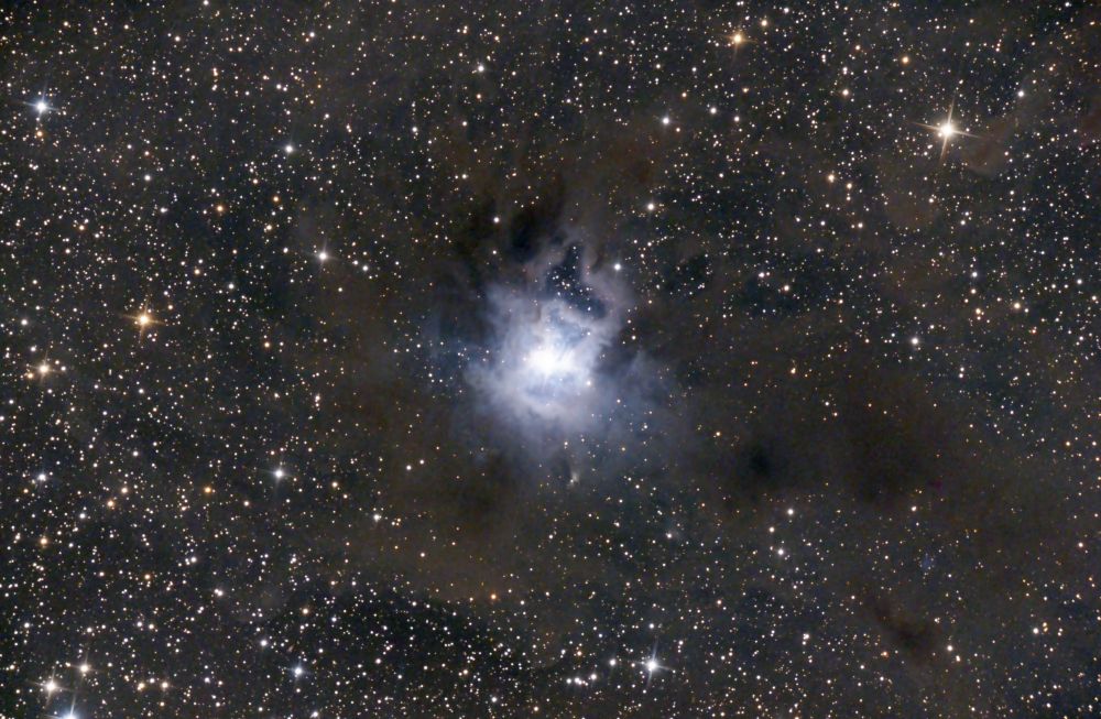 NGC 7023 "Iris"