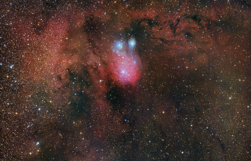 IC1284/NGC6595