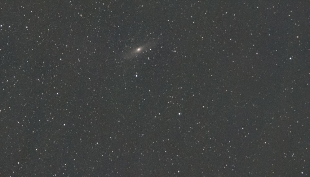 M 31