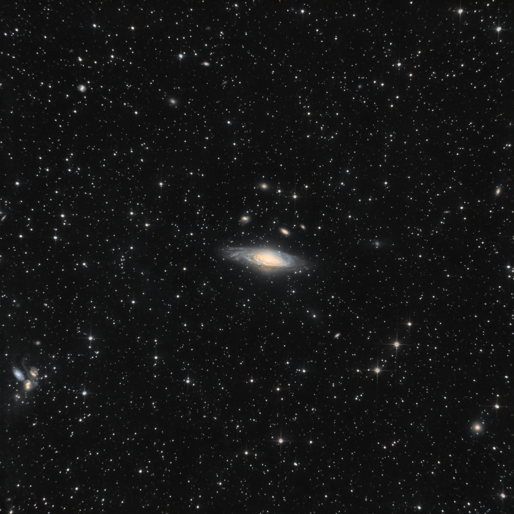 NGC7331