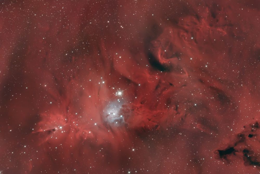 NGC 2264 Tумaннocть Koнуc и Рождественская Елка