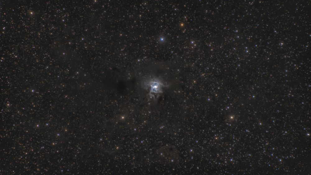 NGC 7023 Iris