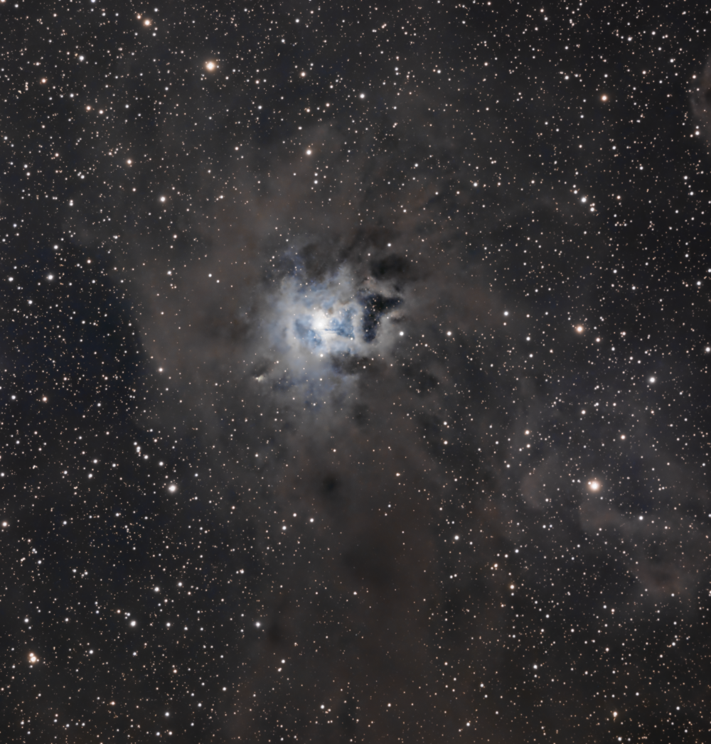 NGC 7023 (OCL 235, LBN 487, Iris Nebula)