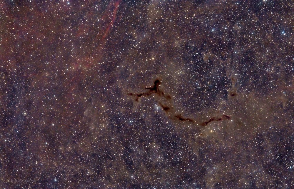 Seahorse Nebula