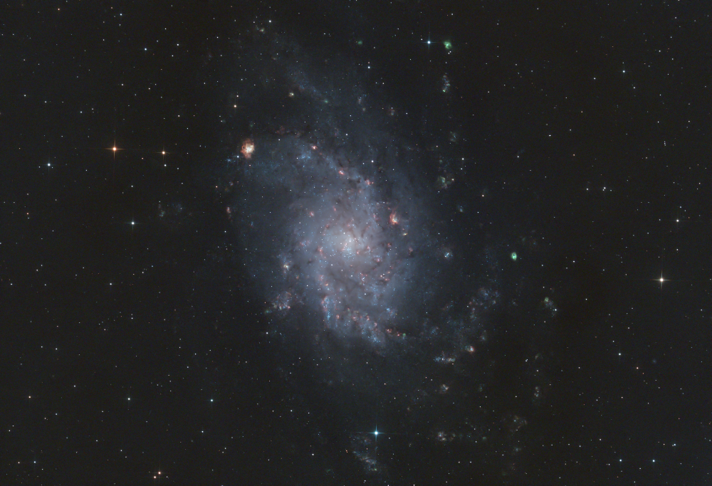 M33