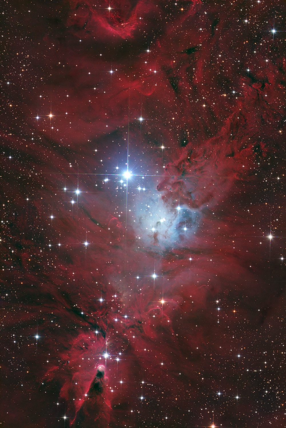 New Year's tree - Astrophotography