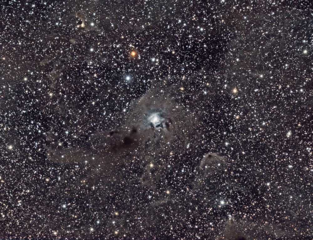 NGC 7023 - Iris nebula