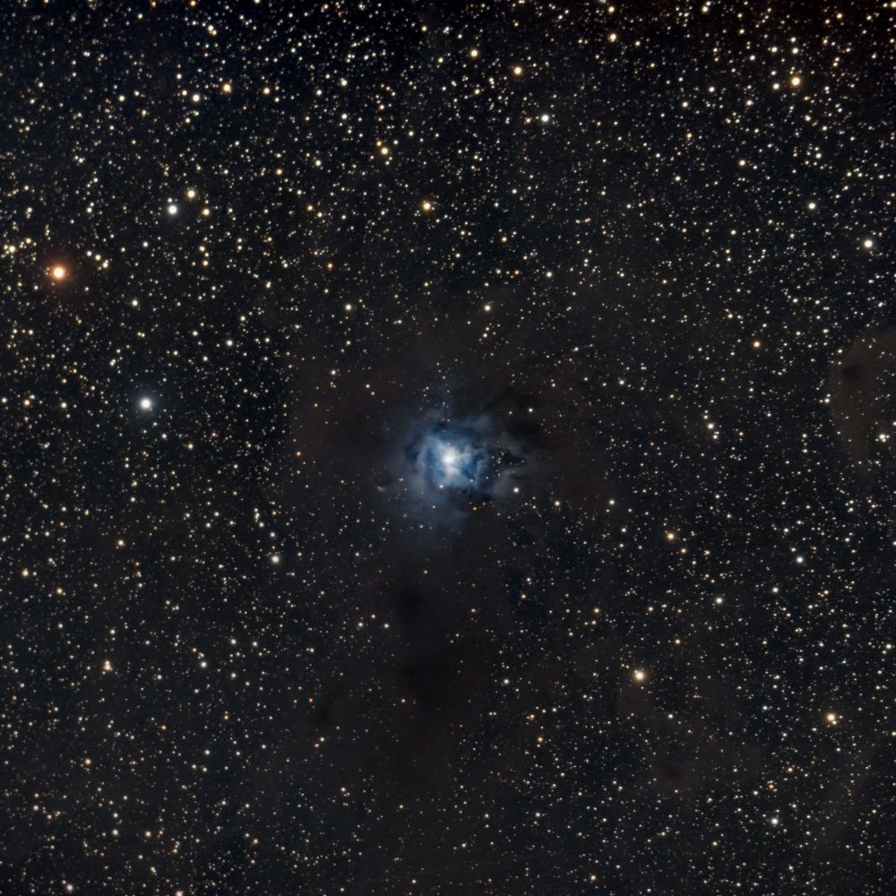 NGC 7023 (Ирис)
