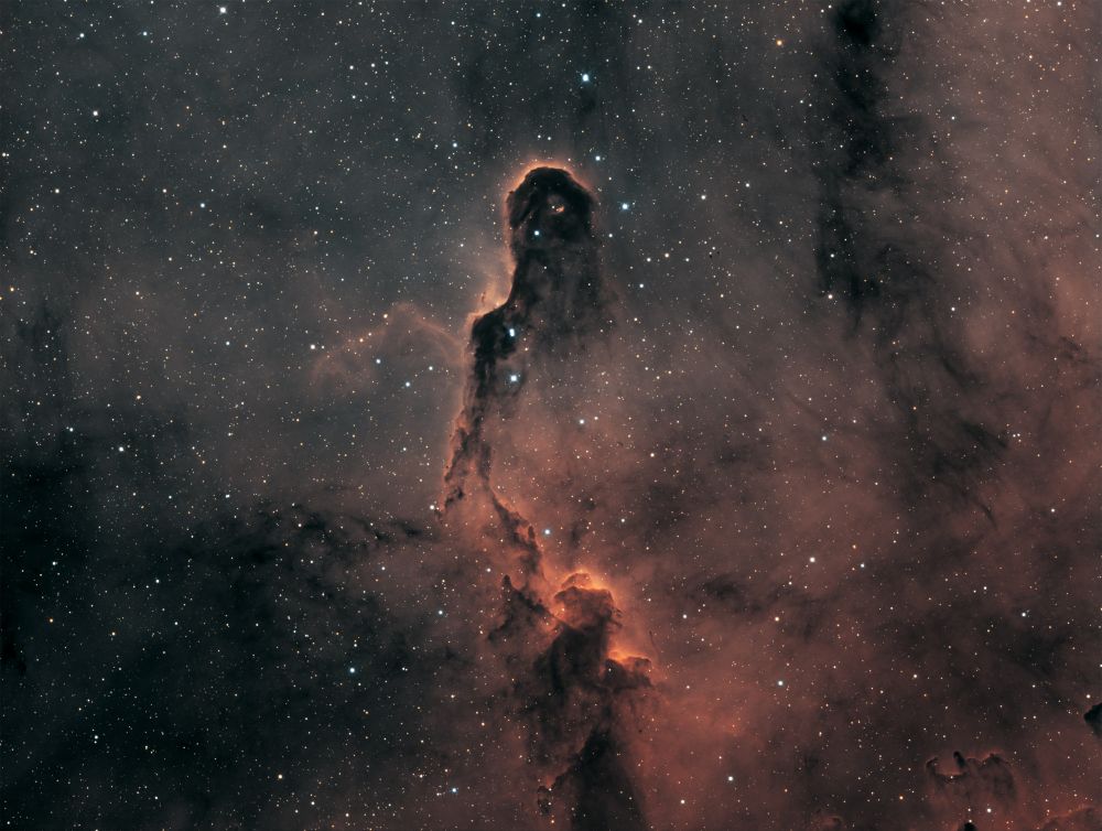 IC 1396 Elepant Trunk in Bi-Color
