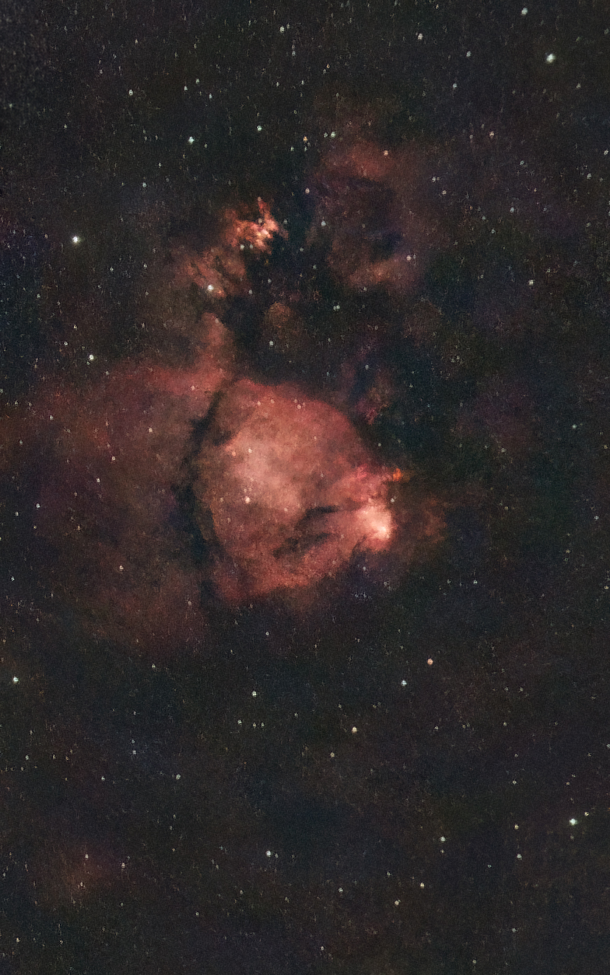LDN-1373 - Fishhead Nebula