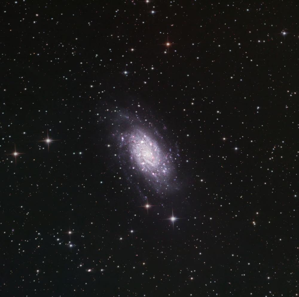 Галактика NGC 2403