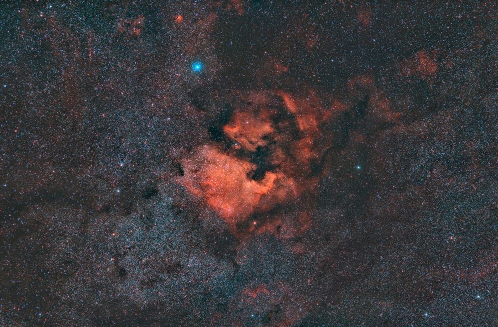 NGC 7000, IC5070 (Северная Америка и Пеликан)