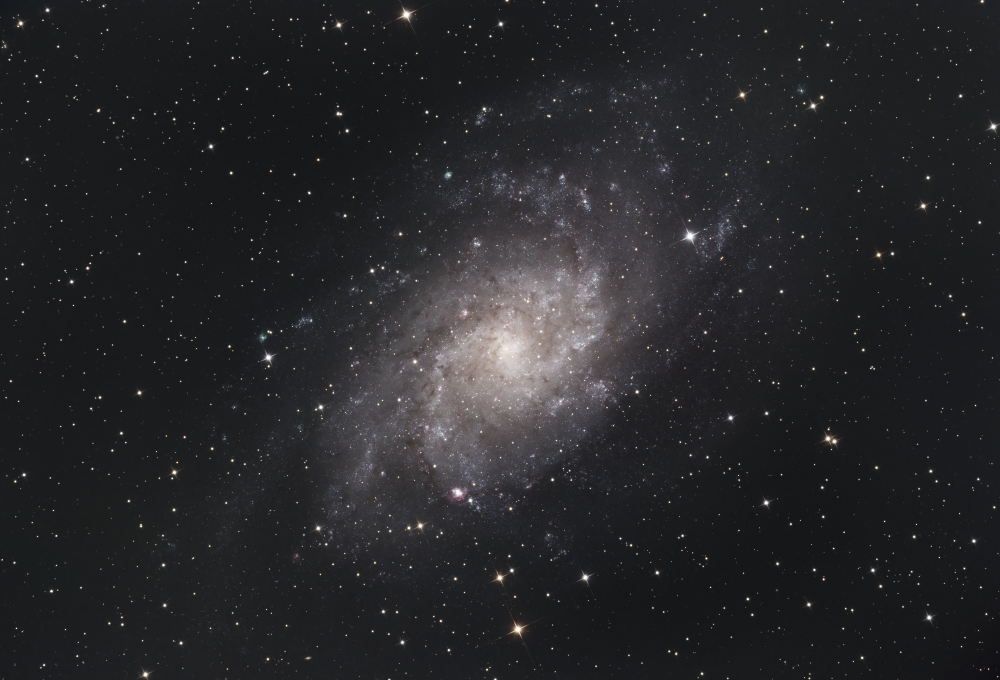 M33