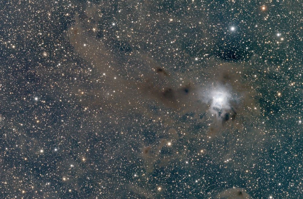 NGC7023 The Iris Nebula