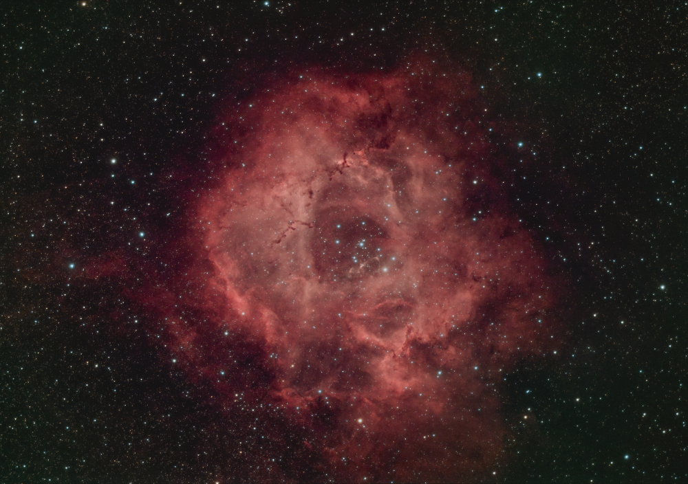 NGC 2237 Туманность Розетка (Розочка)