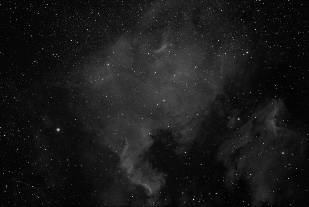 Эмиссионные туманности NGC 7000 Северная Америка  и IC 5070 Пеликан в созвездии Лебедя. ЧБ вариант. 