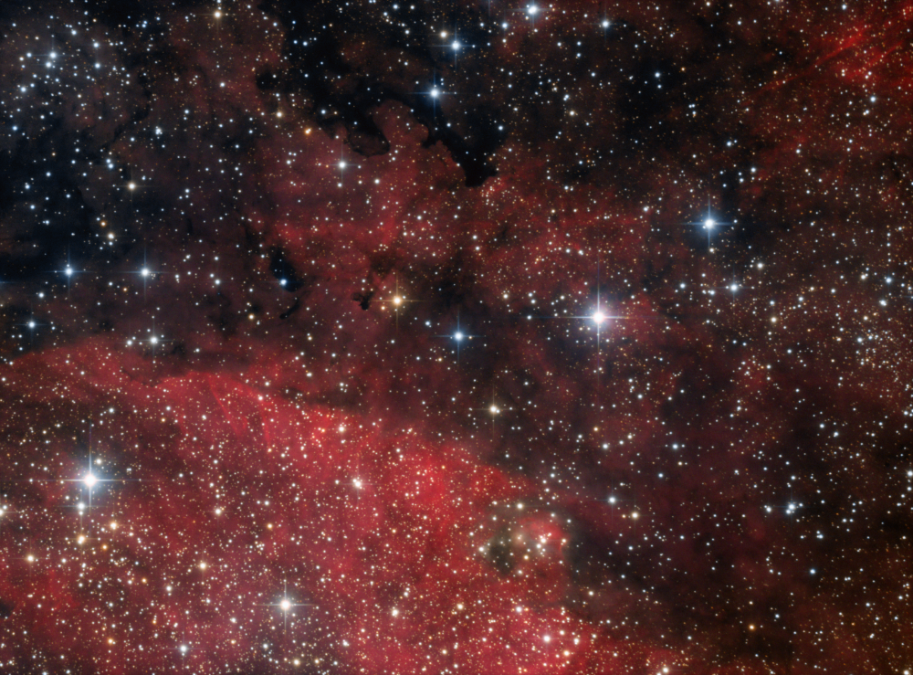 vdB 130 in Cygnus Ha_RGB