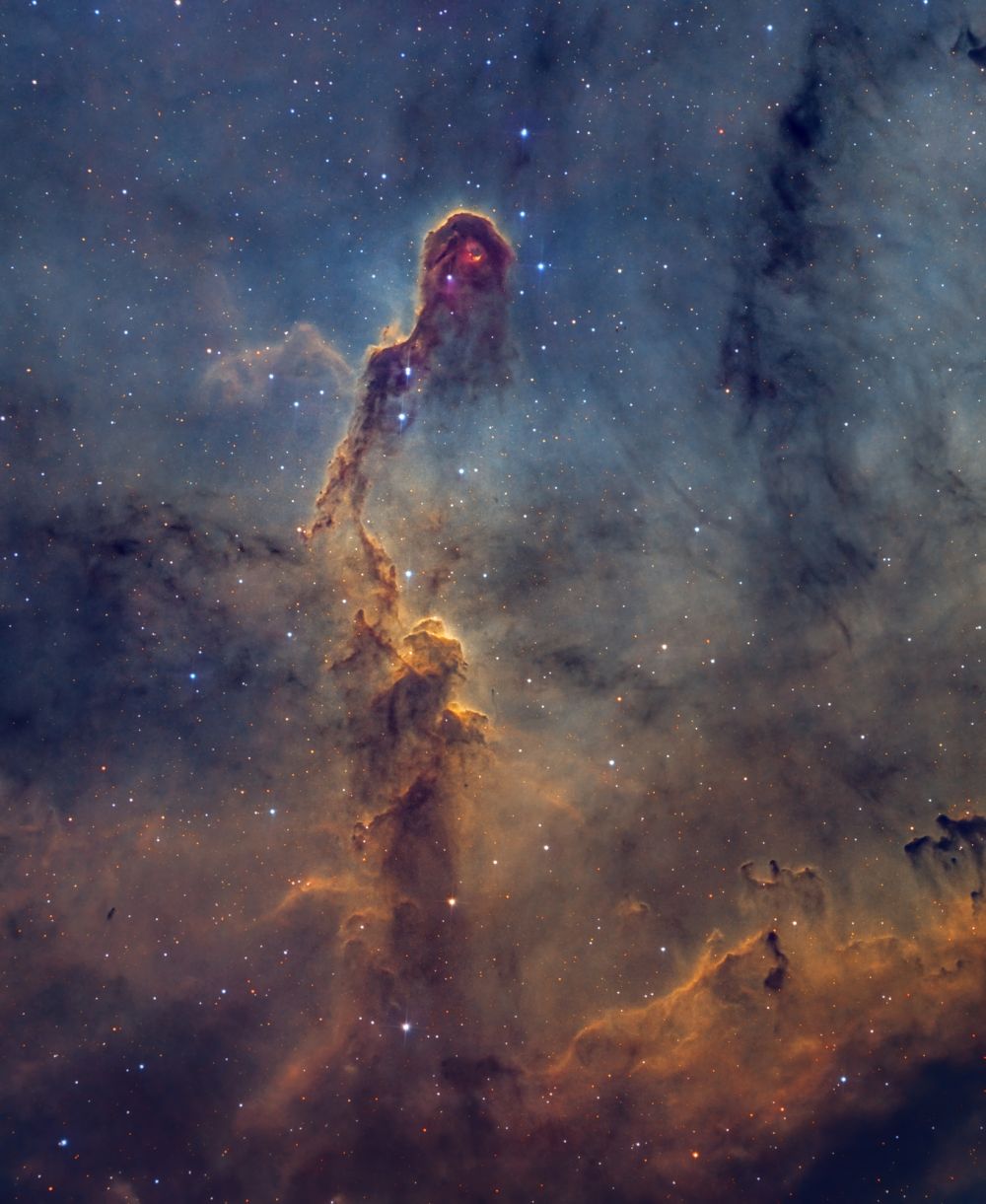 Хобот Слона. IC 1396, Elephant's Trunk nebula - астрофотография