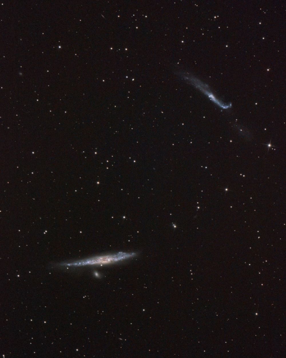 Галактики NGC-4631 и NGC-4656 (кит и клюшка)