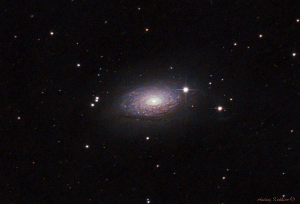 Галактика Подсолнух (М63) 06.03.2024