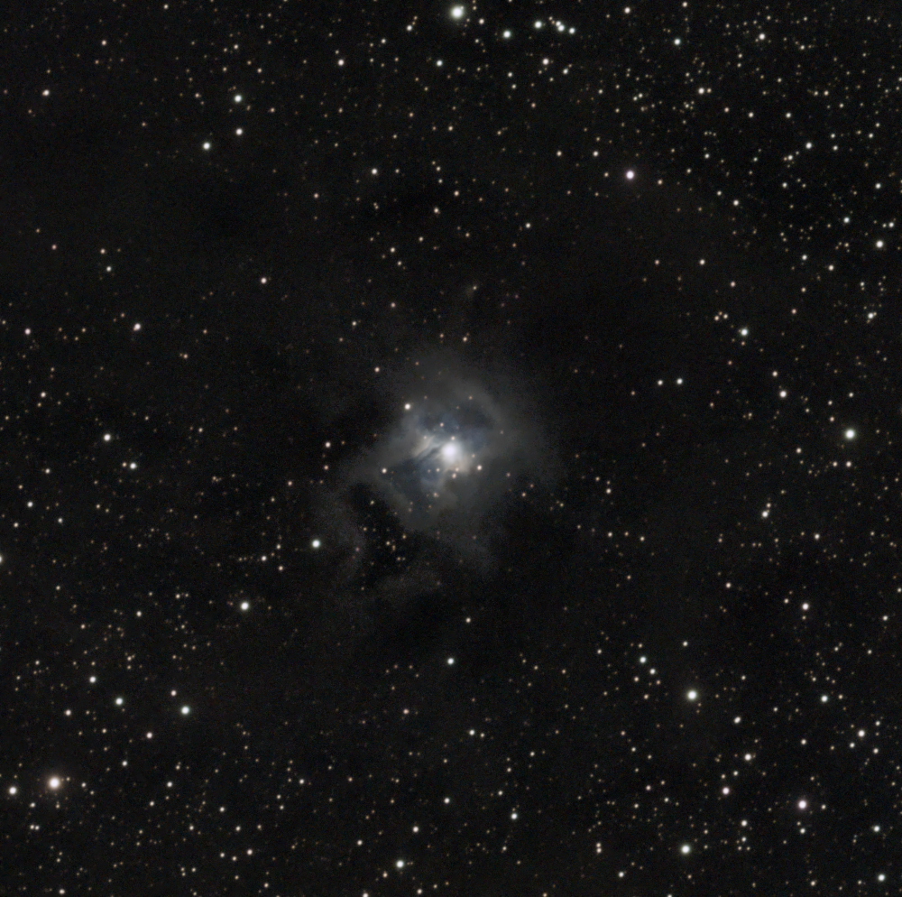 NGC 7023 - Iris Nebula