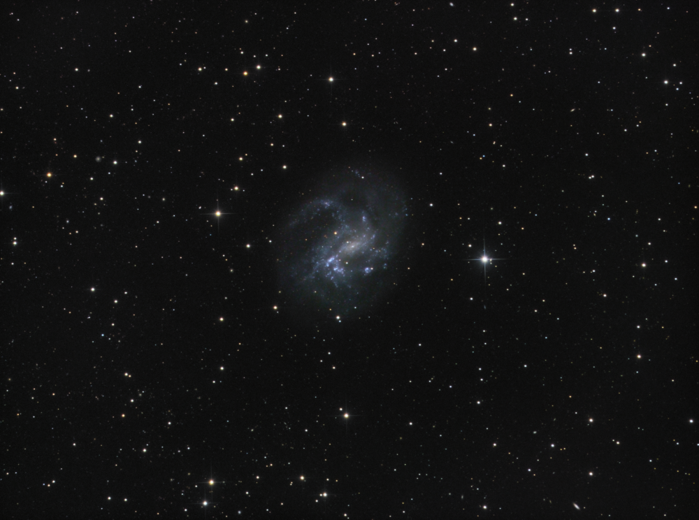 NGC4395/PGC40596 (Galaxy) in CVn LRGB