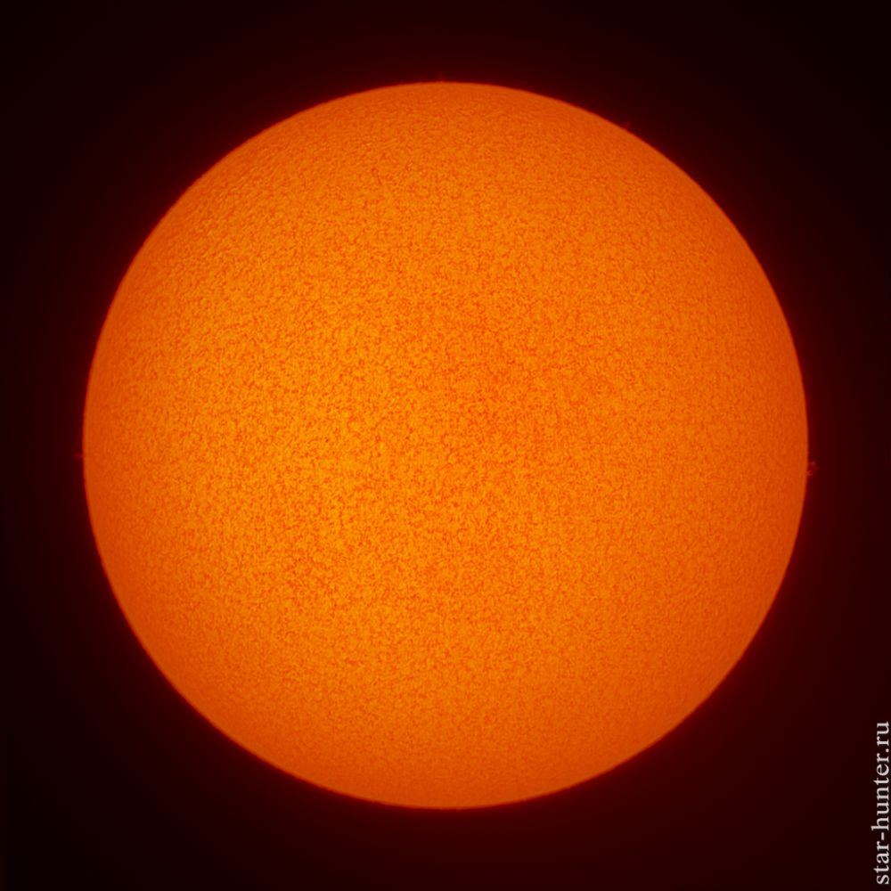 The Sun in H-alpha line. September 11, 2019, 10:44 (UTC +3).