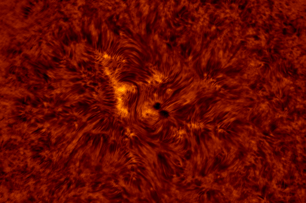 2020.08.10 Sun AR12770 H-Alpha (color)