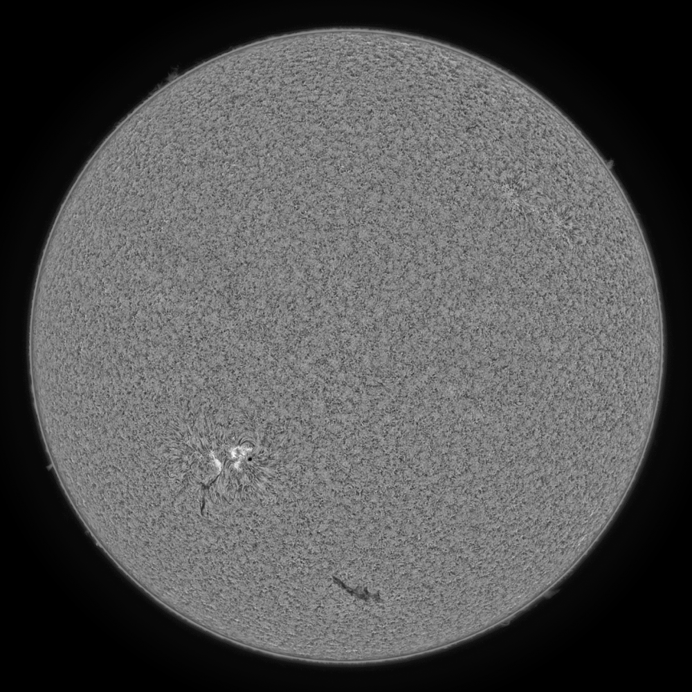 2020.06.08 Sun Full Disk H-Alpha