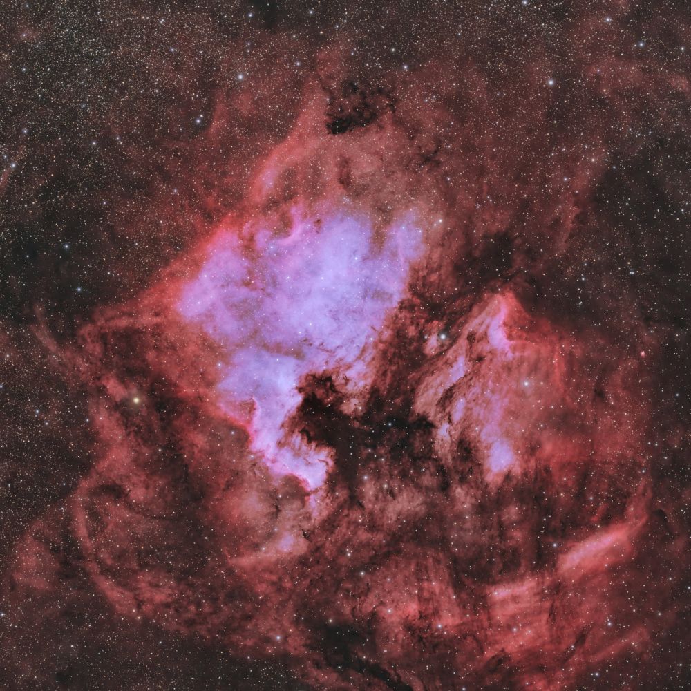 NGC7000 Северная Америка 