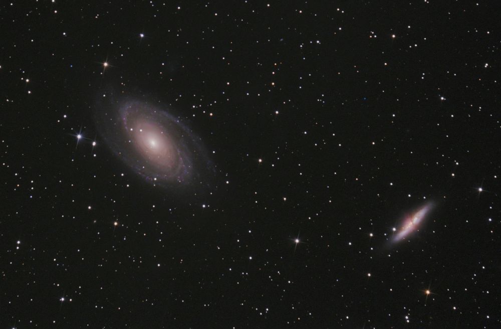 M81