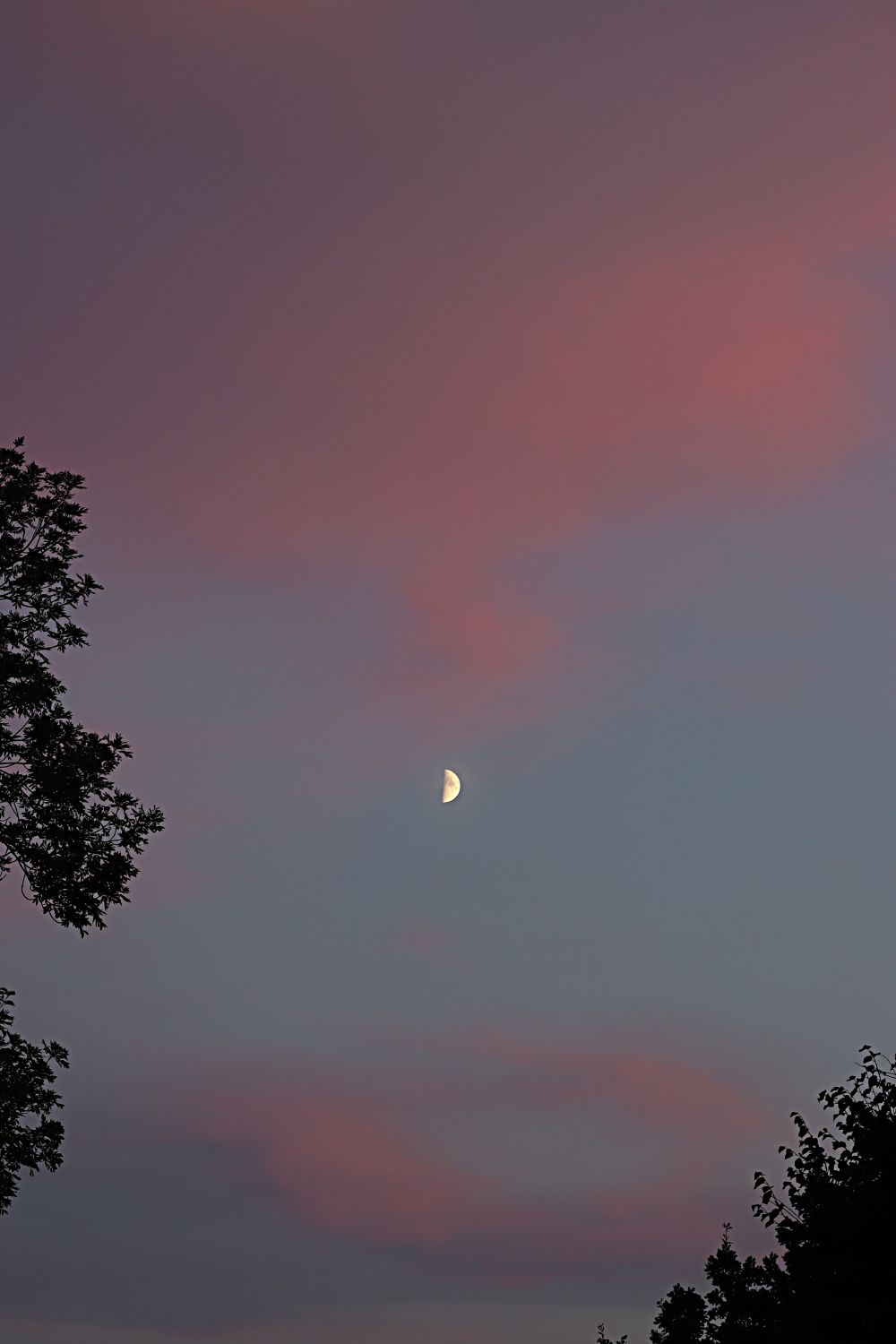 Пейзаж -луна 15.08.2021