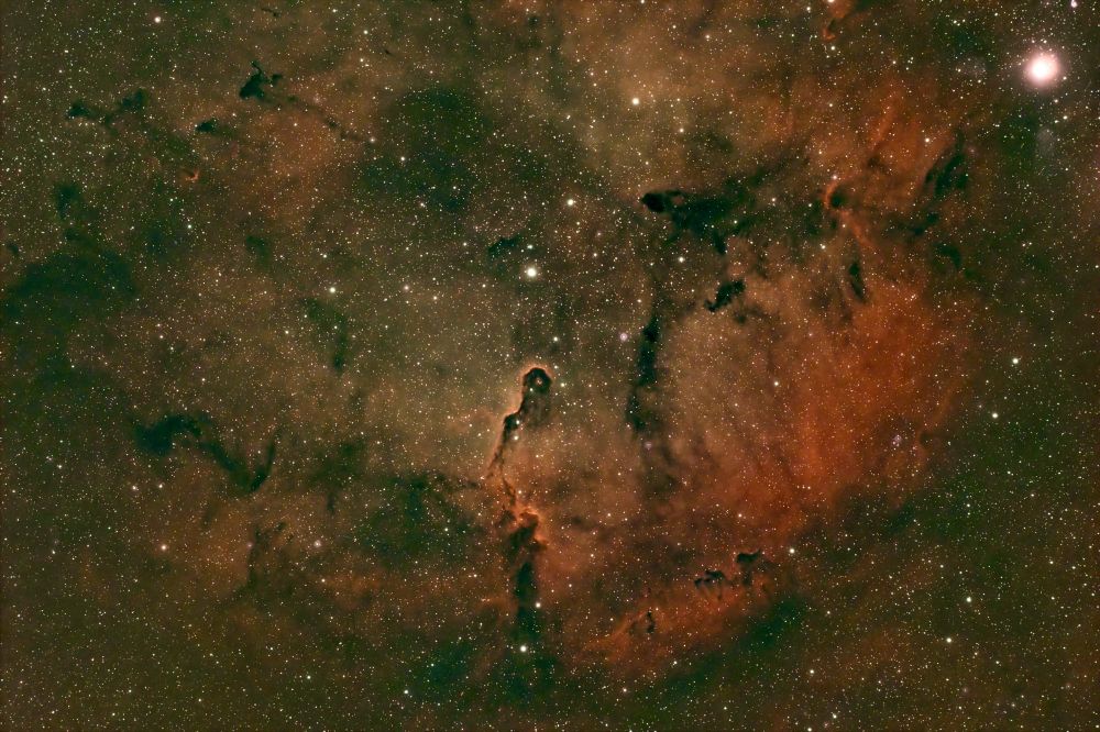 IC 1396 Nebulosa Proboscide d'Elefante (Trunk Nebula)