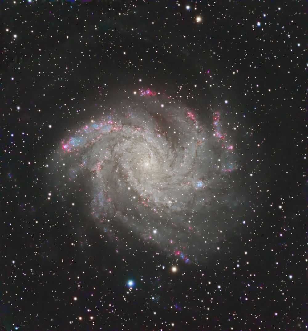 NGC6946