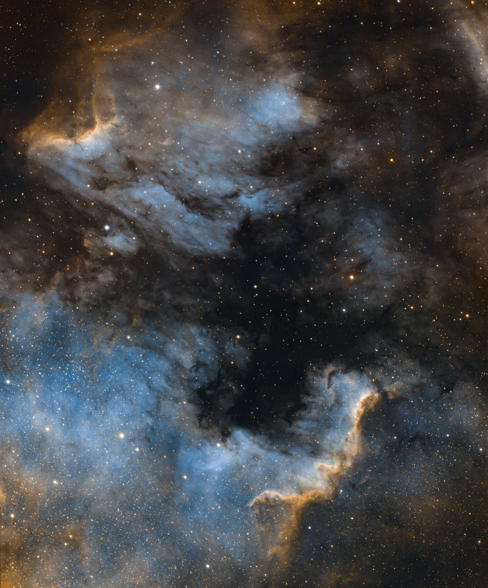 NGC7000 + Ic5070 туманности Лебедя