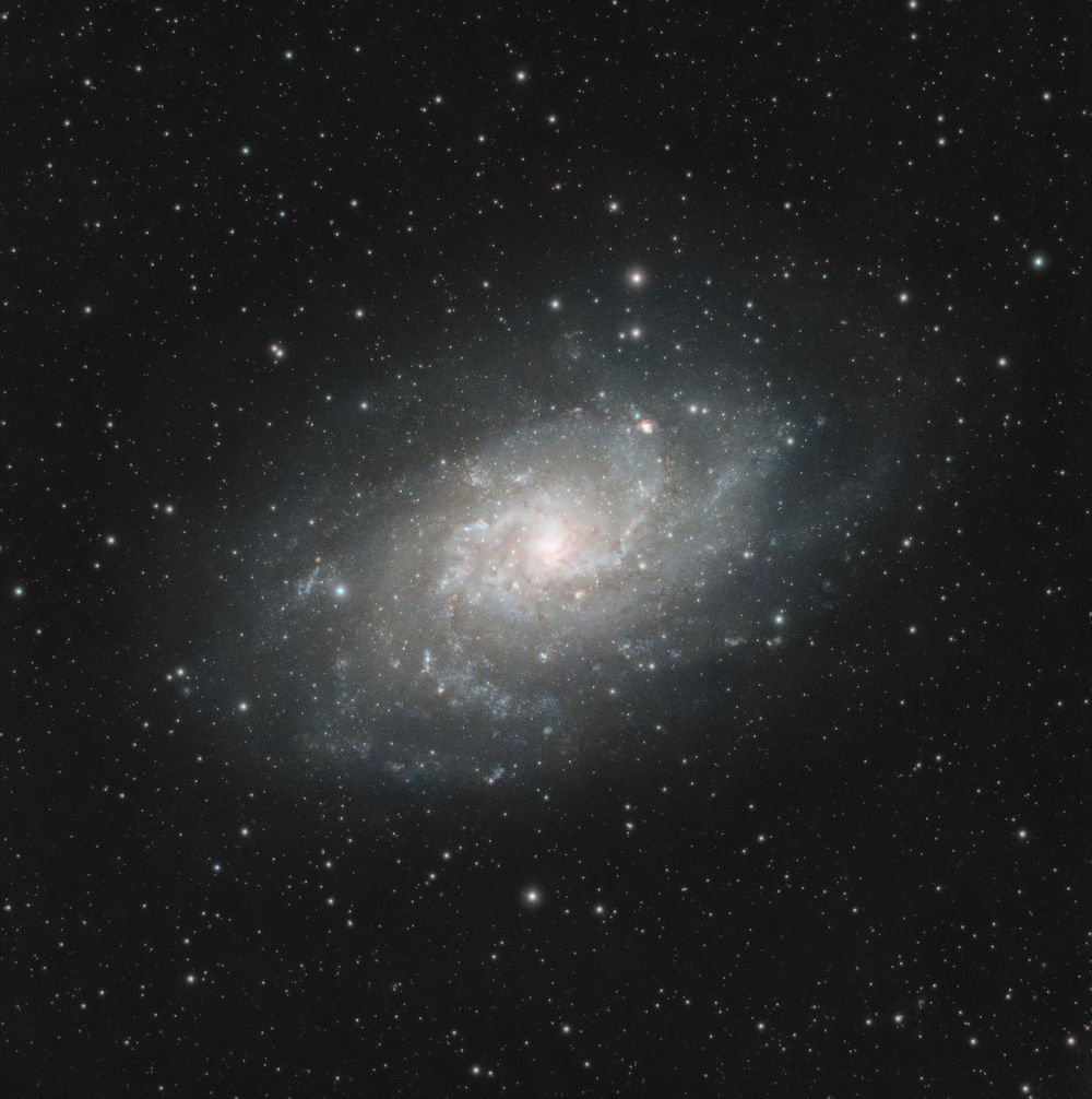 M33