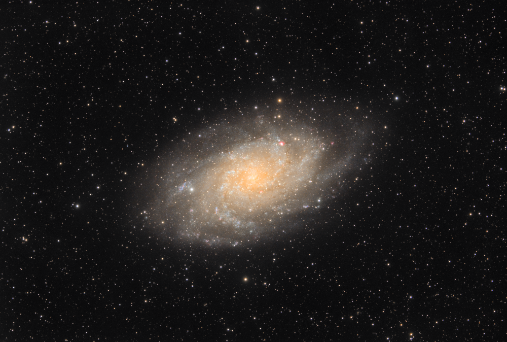 M33