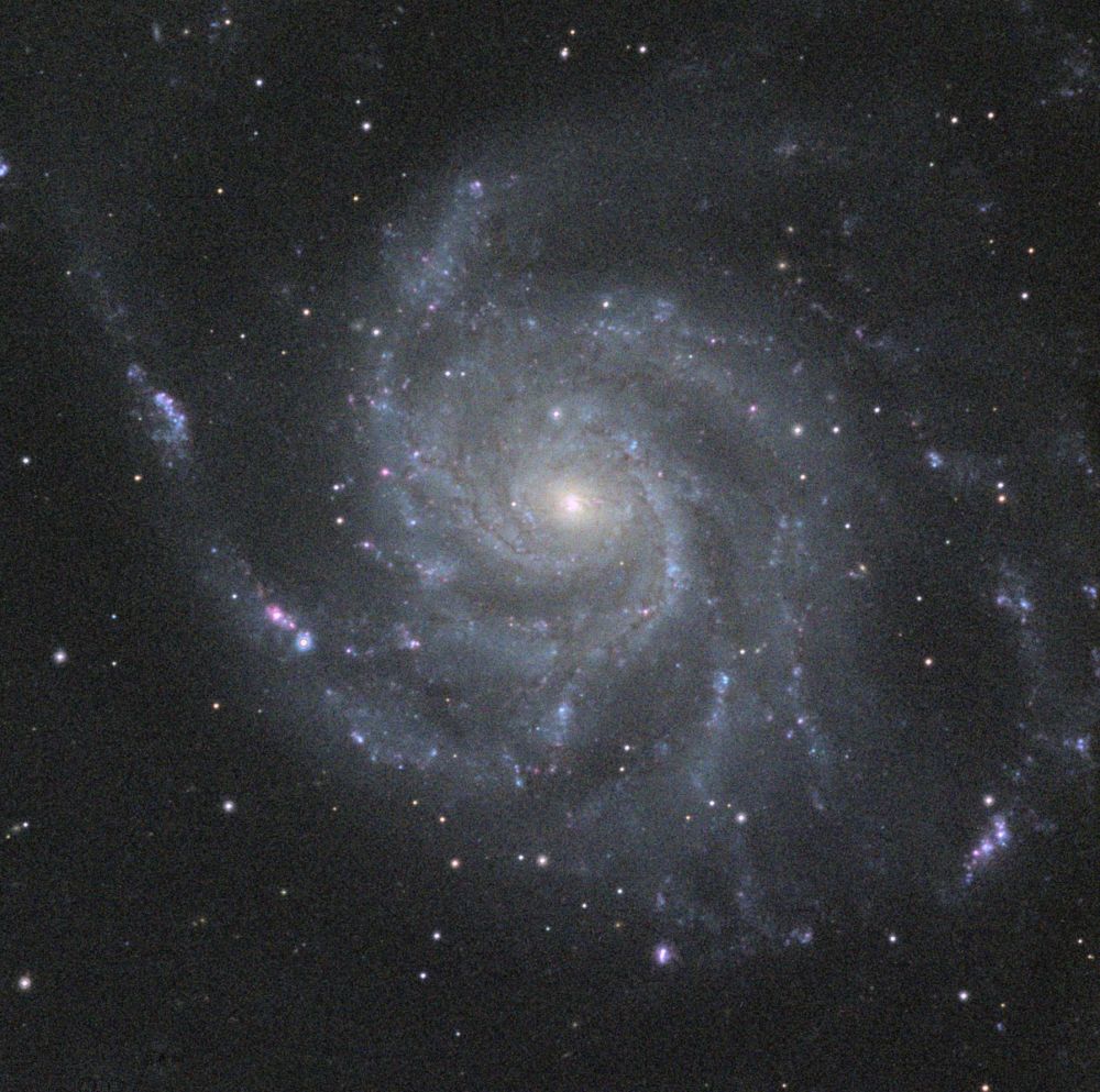 M101+SN
