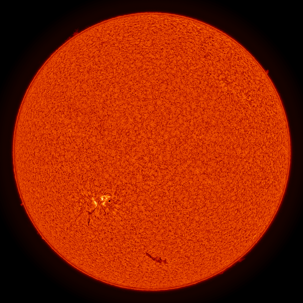 2020.06.08 Sun Full Disk H-Alpha (color)
