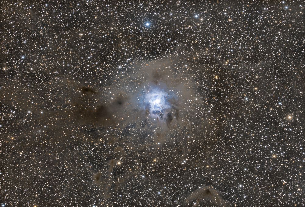 Iris nebula  ngc7032