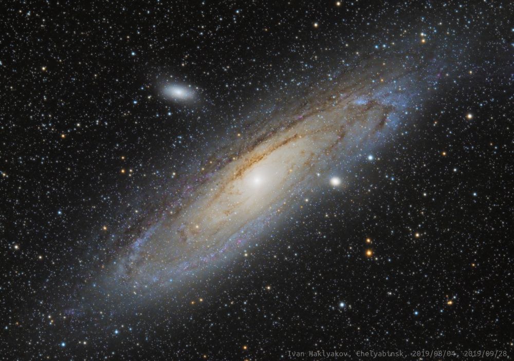 Галактика Андромеды (M31).
