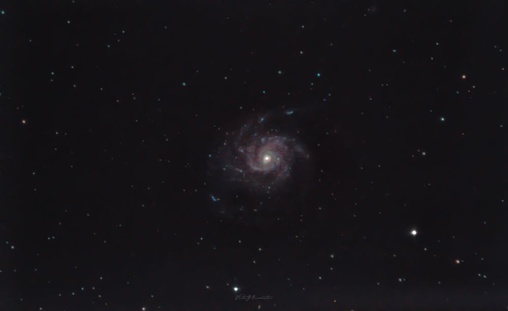 M101