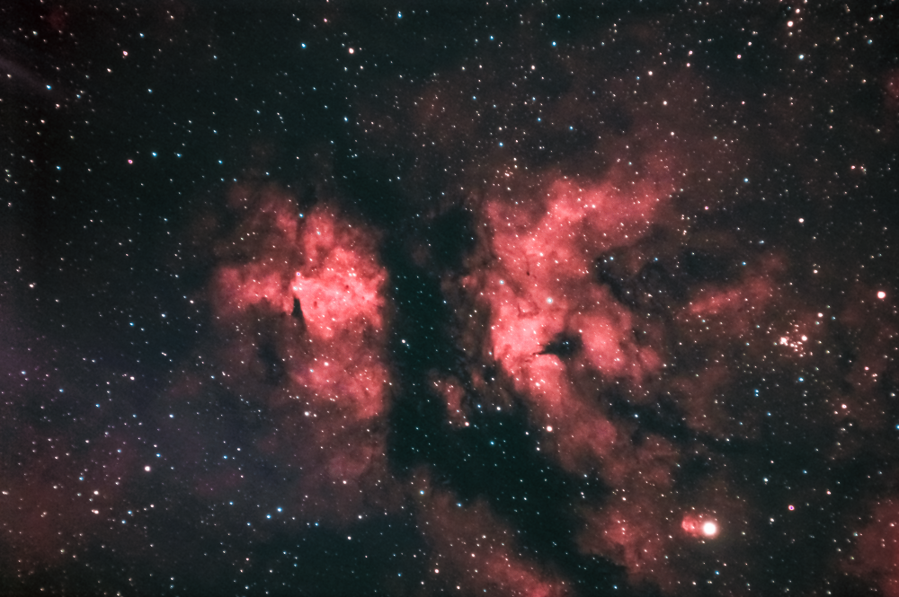 Эмиссионная туманность IC 1318 "Бабочка" в созвездии Лебедя. от 03-04.05.2024