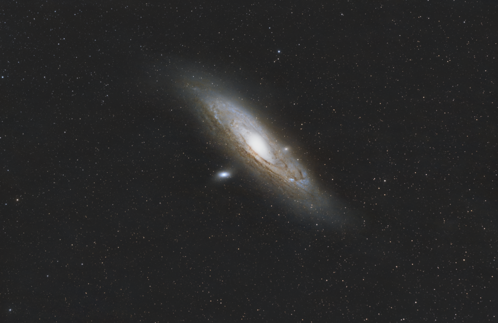 M 31